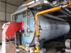 YQW燃氣臥式導熱油爐