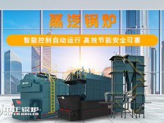 山東的蒸汽鍋爐廠家 中正產(chǎn)品服務(wù)一手抓