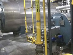 泰安燃?xì)忮仩t價(jià)格 液化氣、天然氣、煤氣。價(jià)格