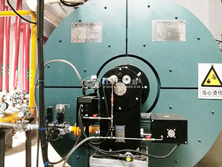 山東魯花集團(tuán)的WNS系列燃?xì)忮仩t